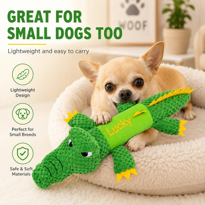 Small dog holding custom crocodile plush toy