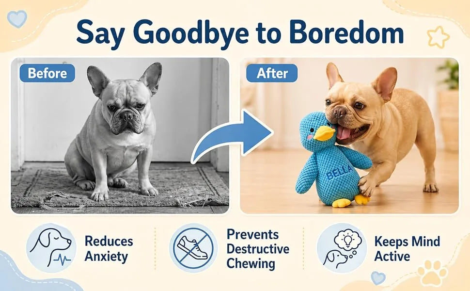 Personalized duck dog toy helps keep dogs engaged during playtime