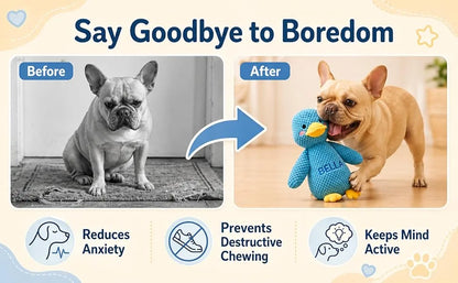 Personalized duck dog toy helps keep dogs engaged during playtime