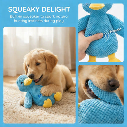 Dog playing with a squeaky personalized duck toy